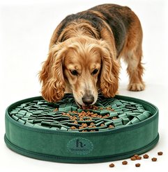 HOMAGICO Interactive Snuffle Dog & Cat Feeding Mat, 20 x 2-in, Green