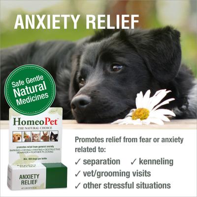 Show full view: HomeoPet Anxiety Relief Dog, Cat, Bird & Small Animal Supplement, 450 drops,15-ml slide 3 of 9