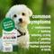 Show in main carousel: HomeoPet Anxiety Relief Dog, Cat, Bird & Small Animal Supplement, 450 drops,15-ml slide 4 of 9