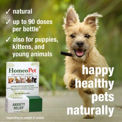 Show full view: HomeoPet Anxiety Relief Dog, Cat, Bird & Small Animal Supplement, 450 drops,15-ml slide 5 of 9