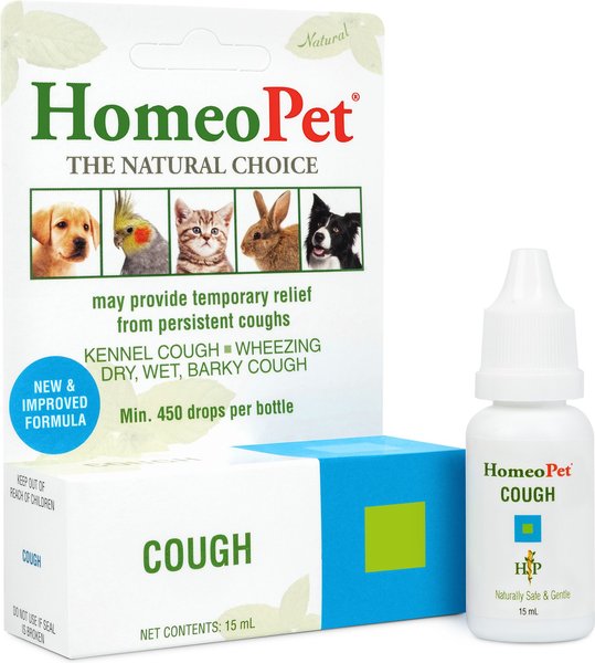 Allergy Relief Dog Ate Claritin Drug Card 800 Pet Meds Coupon