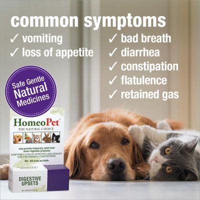 Show full view: HomeoPet Digestive Upsets Homeopathic Medicine for Digestive Issues for Birds, Cats, Dogs & Small Pets, 450 drops slide 4 of 10