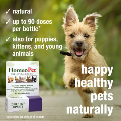 Show full view: HomeoPet Digestive Upsets Homeopathic Medicine for Digestive Issues for Birds, Cats, Dogs & Small Pets, 450 drops slide 5 of 10