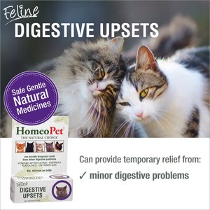 HomeoPet Digestive Upsets Medication for Digestive Issues for Cats
