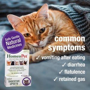 HomeoPet Digestive Upsets Medication for Digestive Issues for Cats