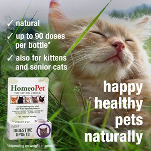 HomeoPet Digestive Upsets Medication for Digestive Issues for Cats