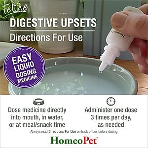HomeoPet Digestive Upsets Medication for Digestive Issues for Cats