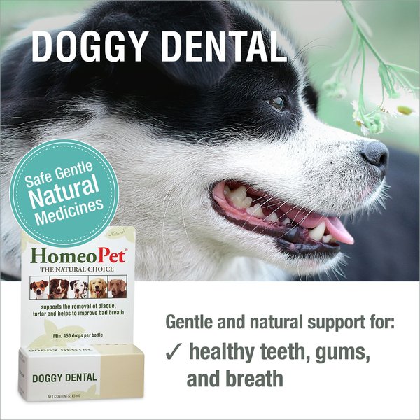 HomeoPet Doggy Dental Dog Supplement