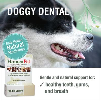 Show full view: HomeoPet Doggy Dental Dog Supplement, 15mL bottle slide 3 of 9