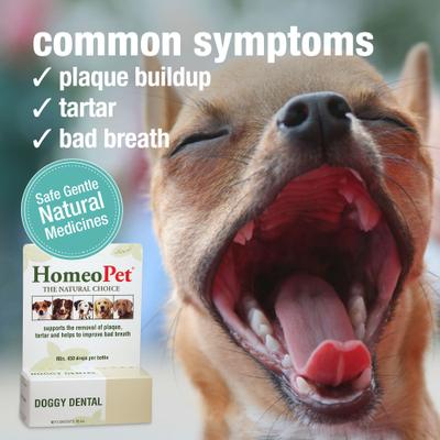 Show full view: HomeoPet Doggy Dental Dog Supplement, 15mL bottle slide 4 of 9