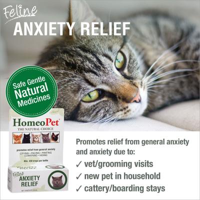 Show full view: HomeoPet Feline Anxiety Relief Cat Supplement, 450 drops slide 3 of 9