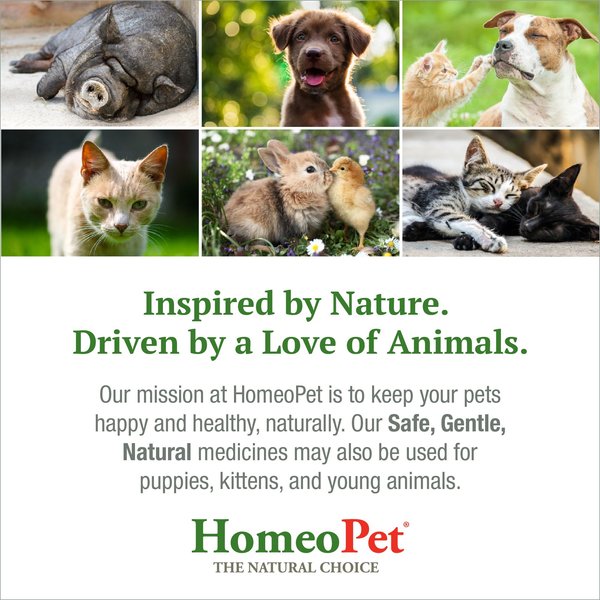 Show full view: HomeoPet Feline Anxiety Relief Cat Supplement, 450 drops slide 7 of 8