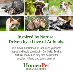 HomeoPet Feline Anxiety Relief Cat Supplement, 450 drops