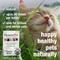 Show in main carousel: HomeoPet Feline Anxiety Relief Cat Supplement, 450 drops slide 5 of 9