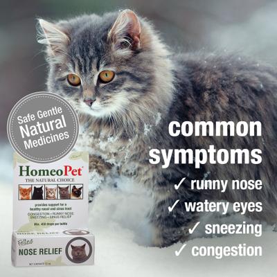 Show full view: HomeoPet Feline Nose Relief Homeopathic Medicine for Nasal & Sinus Infection for Cats, 450 drops slide 4 of 10