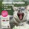 Show in main carousel: HomeoPet Feline Purr Dental Cat Supplement, 15mL bottle slide 4 of 9