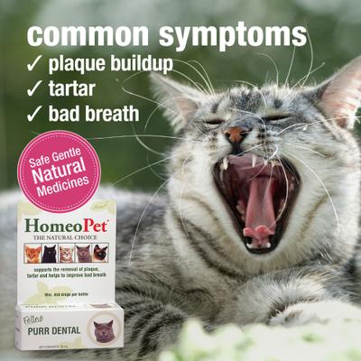 Show full view: HomeoPet Feline Purr Dental Cat Supplement, 15mL bottle slide 4 of 9