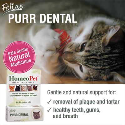Show full view: HomeoPet Feline Purr Dental Cat Supplement, 15mL bottle slide 3 of 9