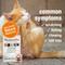 Show in main carousel: HomeoPet Feline Skin & Itch Cat Supplement, 450 drops slide 4 of 10