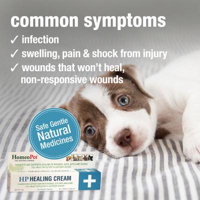 Show full view: HomeoPet HP Healing Cream for Dogs, Cats, Birds & Small Pets, 4-fl oz bottle slide 4 of 10