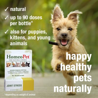 Show full view: HomeoPet Joint Stress Homeopathic Medicine for Joint Pain/Arthritis for Birds, Cats, Dogs & Small Pets, 450 drops slide 5 of 9