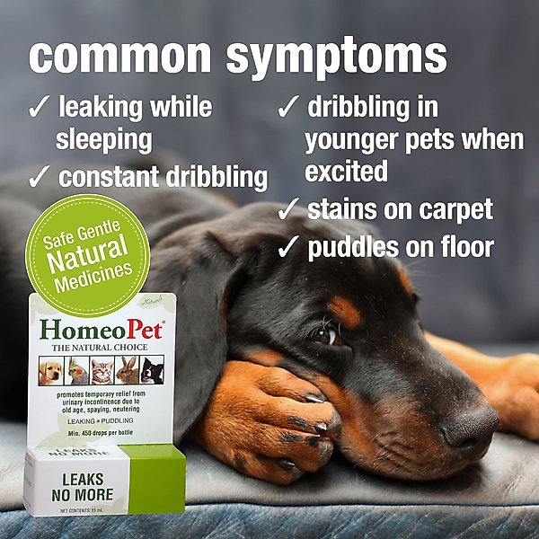 Show full view: HomeoPet Leaks No More Homeopathic Medicine for Incontinence for Birds, Cats, Dogs & Small Pets, 450 drops slide 3 of 8