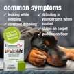 Show in main carousel: HomeoPet Leaks No More Homeopathic Medicine for Incontinence for Birds, Cats, Dogs & Small Pets, 450 drops slide 3 of 8