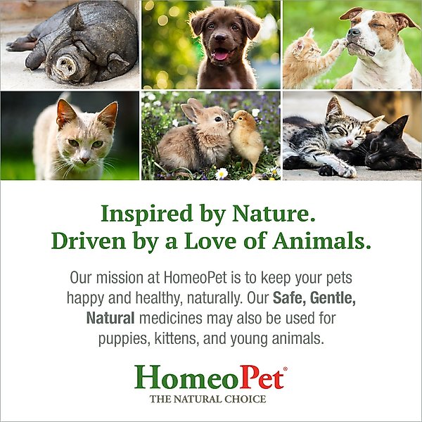 Show full view: HomeoPet Leaks No More Homeopathic Medicine for Incontinence for Birds, Cats, Dogs & Small Pets, 450 drops slide 7 of 8