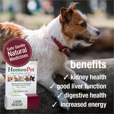 Show full view: HomeoPet Liver Rescue Homeopathic Medicine for Liver Disease for Birds, Cats, Dogs & Small Pets, 450 drops slide 4 of 9