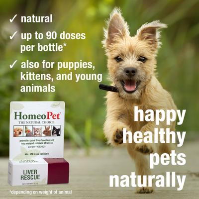 Show full view: HomeoPet Liver Rescue Homeopathic Medicine for Liver Disease for Birds, Cats, Dogs & Small Pets, 450 drops slide 5 of 9