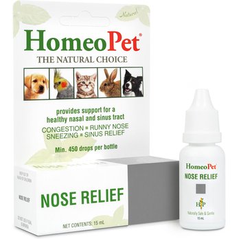 Runny Nose Symptoms Of Kennel Cough And Treatment Dog Cold Kennel