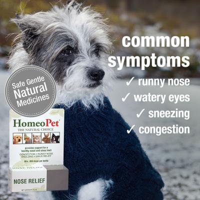 Show full view: HomeoPet Nose Relief Homeopathic Medicine for Allergies & Respiratory Infections for Birds, Cats, Dogs & Small Pets, 450 drops slide 4 of 10