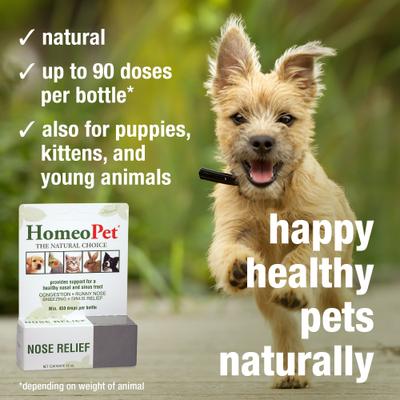 Show full view: HomeoPet Nose Relief Homeopathic Medicine for Allergies & Respiratory Infections for Birds, Cats, Dogs & Small Pets, 450 drops slide 5 of 10