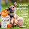 Show in main carousel: HomeoPet Skin & Itch Dog, Cat, Bird & Small Animal Supplement, 450 drops slide 6 of 12