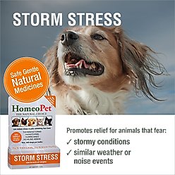 HomeoPet Storm Stress for Pets 20-80lbs, 450 drops slide 2 of 7