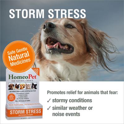Show full view: HomeoPet Storm Stress for Pets 20-80lbs, 450 drops slide 3 of 8