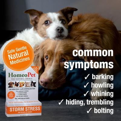 Show full view: HomeoPet Storm Stress for Pets 20-80lbs, 450 drops slide 4 of 8