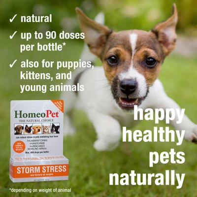 Show full view: HomeoPet Storm Stress for Pets 20-80lbs, 450 drops slide 5 of 8