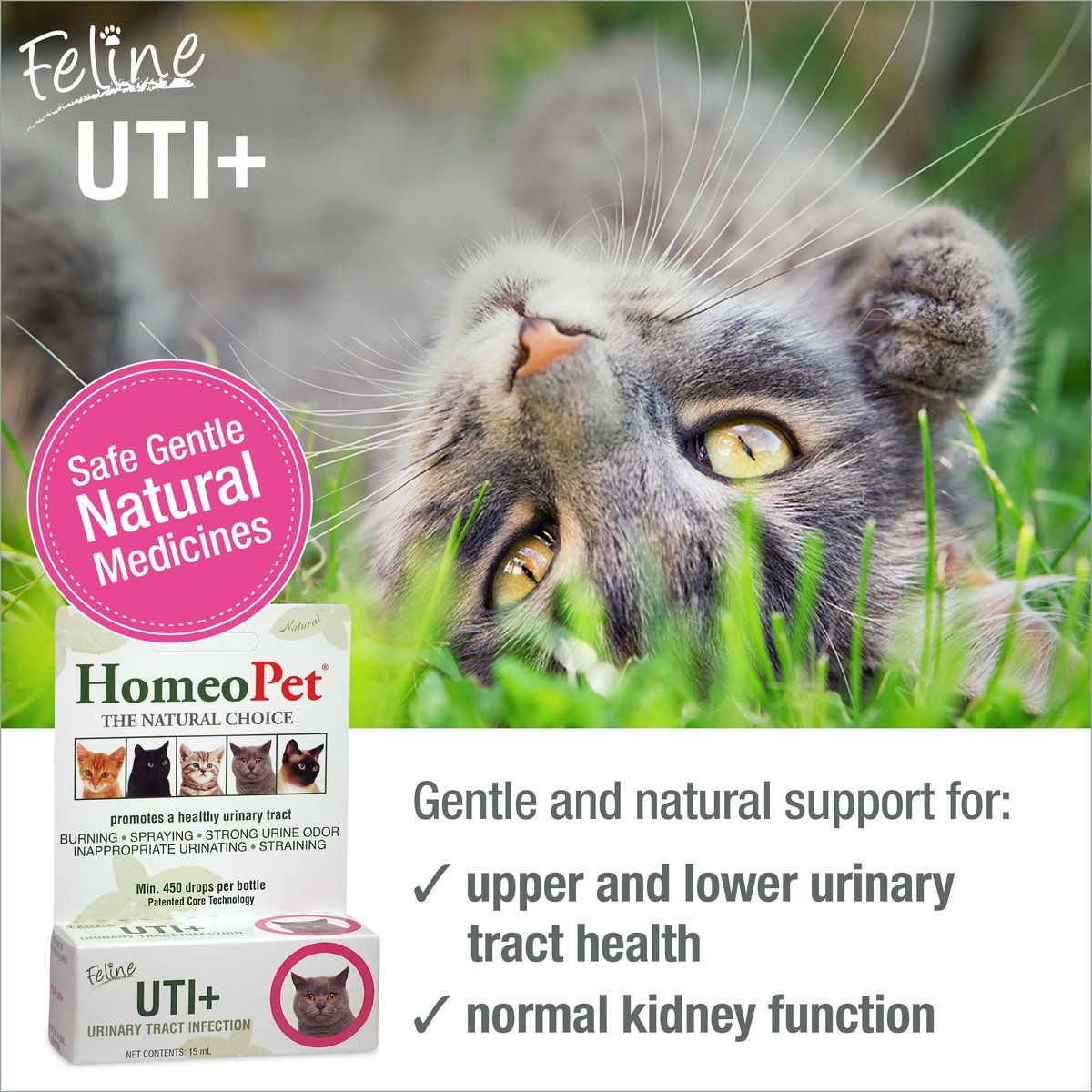 Fur Goodness Sake Urinary Support Homeopathic Medicine for Urinary Tract Infections UTI for Cats