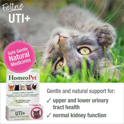 Show full view: HomeoPet UTI+ Homeopathic Medicine for Urinary Tract Infections UTI for Cats, 450 drops slide 3 of 10