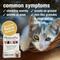 Show in main carousel: HomeoPet WRM Clear Dewormer for Hookworms, Roundworms, Tapeworms & Whipworms for Cats, 450 drops slide 3 of 7