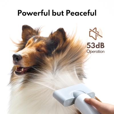 Show full view: HomeRunPet Air Force Dog, Cat & Small Pet Dryer, White slide 2 of 7