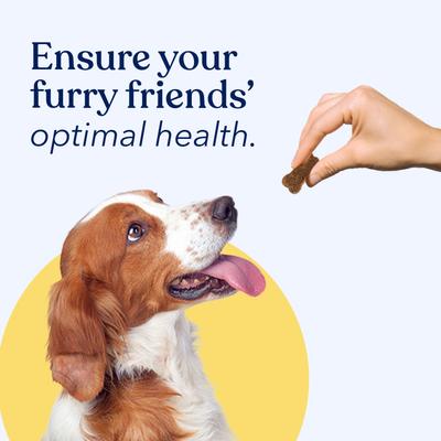 Show full view: Honest Paws Beef Flavored Soft Chew Multivitamin for Dogs, 90 count slide 6 of 11