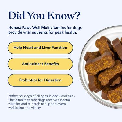 Show full view: Honest Paws Beef Flavored Soft Chew Multivitamin for Dogs, 90 count slide 8 of 11
