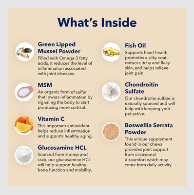 Show full view: Honest Paws Hip & Joint Dog Supplement, 75-g jar slide 5 of 11