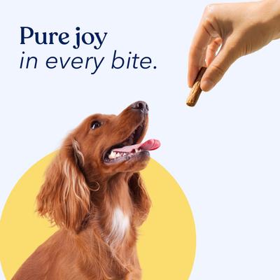 Show full view: Honest Paws Jerky Sticks Chicken Flavor Grain-Free Jerky Dog Treats, 7.8-oz bag slide 6 of 11