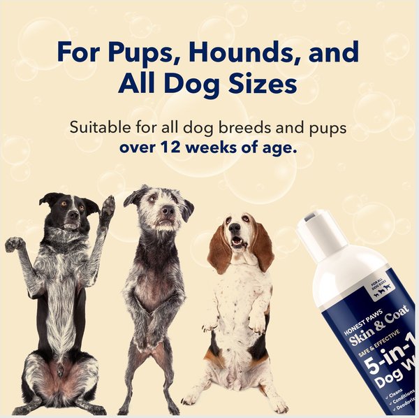 Show full view: Honest Paws Nourising Skin & Coat Dog Shampoo & Conditioner, 16-fl oz bottle slide 5 of 7