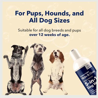 Show full view: Honest Paws Nourising Skin & Coat Dog Shampoo & Conditioner, 16-fl oz bottle slide 5 of 7