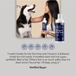 Show in main carousel: Honest Paws Nourising Skin & Coat Dog Shampoo & Conditioner, 16-fl oz bottle slide 6 of 7