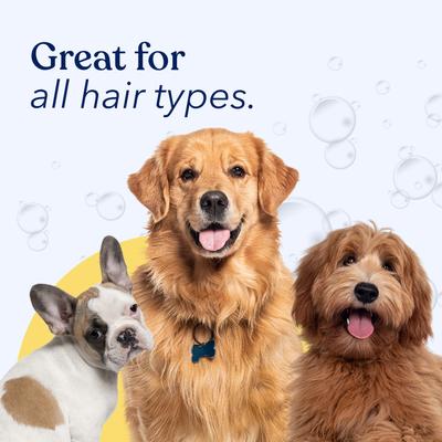 Show full view: Honest Paws Skin & Coat 5-in-1 Coconut & Mango Dog Shampoo & Conditioner, 16-fl oz bottle slide 8 of 9